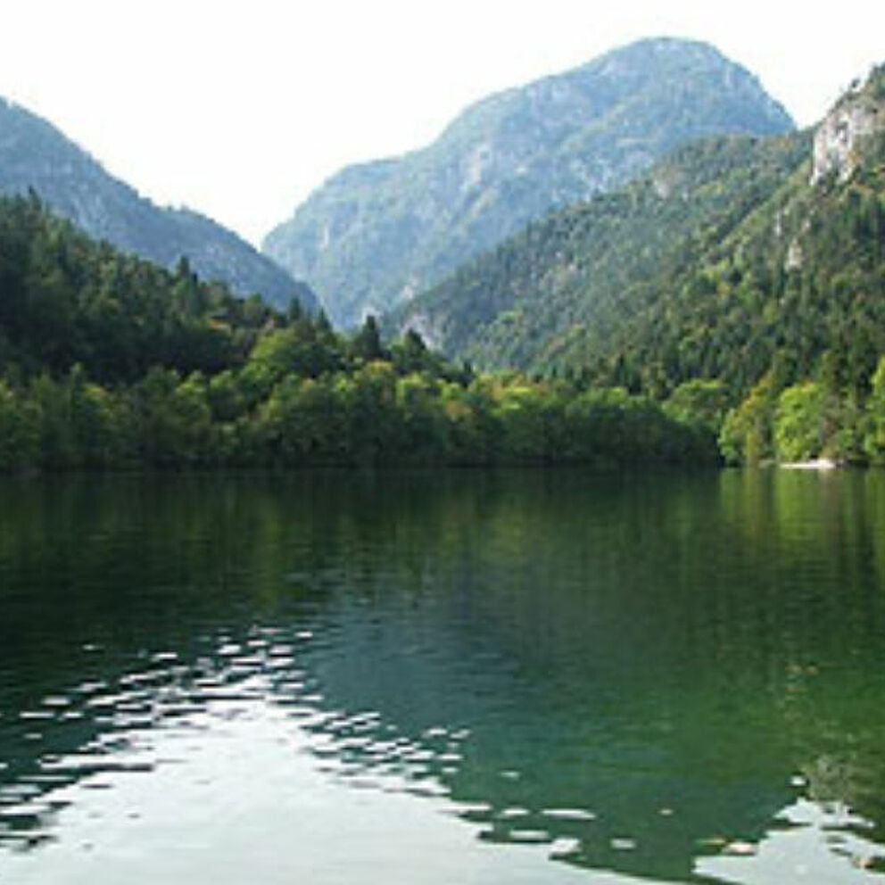 Thumsee