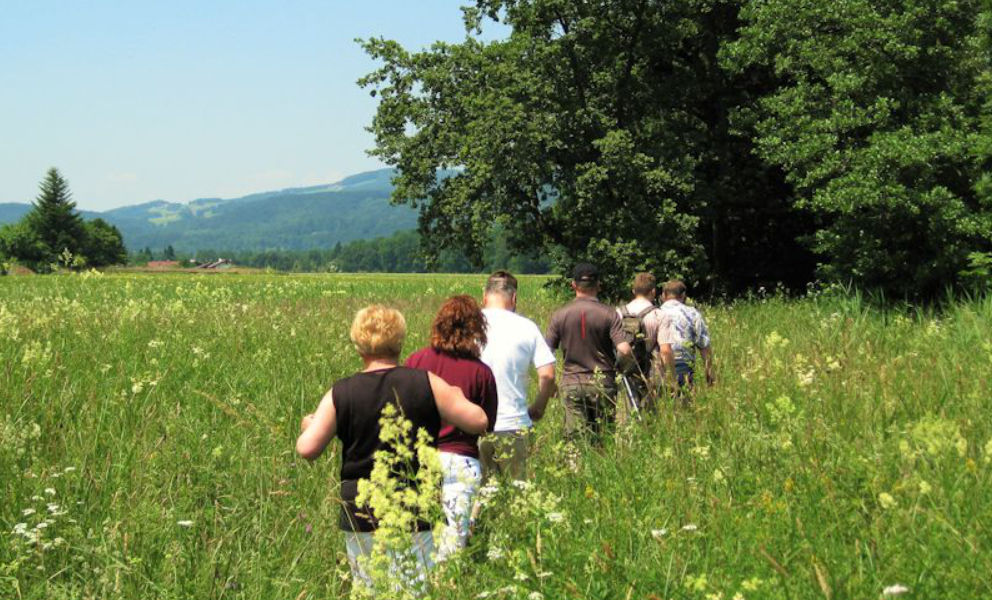 Gesundheitswandern Bad Reichenhall, Berchtesgadener Land